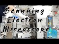 Scanning Electron Microscope | 扫描电子显微镜2 仪器组成和工作原理