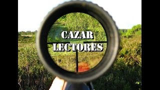 Porque algunos escritores son exitosos? - 10 tips para CAZAR LECTORES - Literatura Interactiva