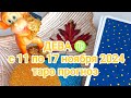 ДЕВА ♍ с 11 по 17 ноября 2024 таро прогноз