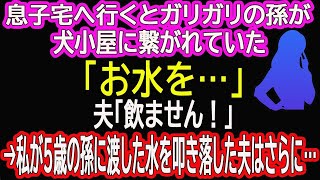 【スカッと総集編】息子宅へ行くとガリガリの孫が犬小屋に繋がれていた「お水を…」夫「飲ません！」 →私が5歳の孫に渡した水を叩き落した夫はさらに…