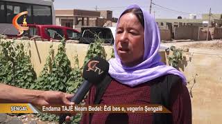 ŞENGAL | Endama TAJÊ Neam Bedel  Êdî bes e, vegerin Şengalê