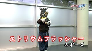 ペガの『ウルトラマンジード アクションファイル』第18回 「ストリウムフラッシャー」のポーズ