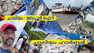 ബേപ്പൂർ ചാലിയം ജങ്കാർ  ചാലിയം ഹാർബർ  Chaliyam beypore ferry service chaliyam harbor | chandus vlogs