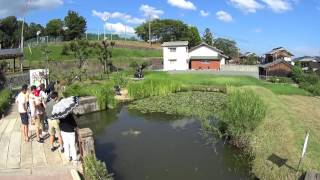 30秒の心象風景9603・河童を待つ～辻川山公園～