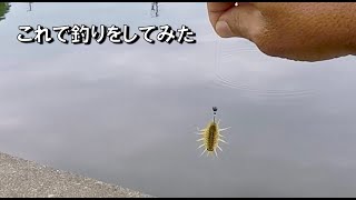 フナムシで釣りをしてみたら噂通りのエサだった！これはマジで釣れる面白い