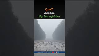 చైనా లో తూఫాన్ కు కుప్పలు కుప్పలుగా రోడ్డు మిద పడ్డ చేపలు