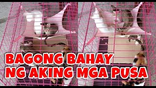 BAGONG BAHAY NG AKING MGA PUSA/ang saya nilang tingnan