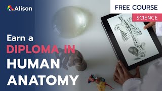 Diploma in Human Anatomy and Physiology - Free Online Course with Certificate