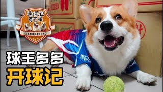 球王多多開球🎾記