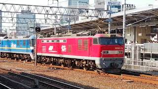 EF210 316+EF510 15号機稲沢発名古屋タ行単570レ名古屋通過