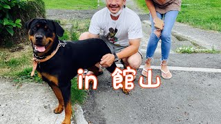 【館山旅行】大型犬も泊まれる宿へ新婚旅行 #ロットワイラー #じゃぱり館山