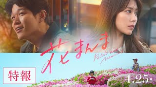 映画『花まんま』特報【2025.4.25(金)公開】