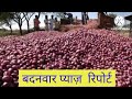 बदनवार मंडी भाव 28 8 2023 प्याज़ जोरदार तेजी today badnawar mandi pyaj rate today onion rate