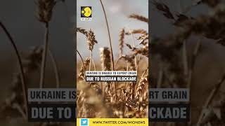 ‘Volume of grains could triple’: Ukraine warns after Russian blockade of export | WION Shorts