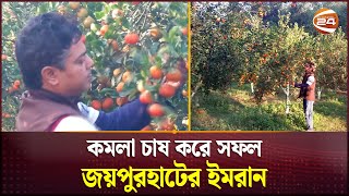 কমলা চাষ করে সফল জয়পুরহাটের ইমরান | Orange | Joypurhat Krishi | Channel 24