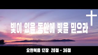 [THE CROSS LOVE] 빛이 있을 동안에 빛을 믿으라 (요한복음 12장)