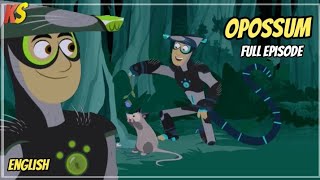 wild kratts - opossum in my pocket - Full episode - HD - kratts series - science