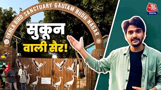 Okhla Bird Sanctuary: दिल्ली-NCR के शोरगुल के बीच एक ऐसी जगह जहां मिलता है सिर्फ सुकून