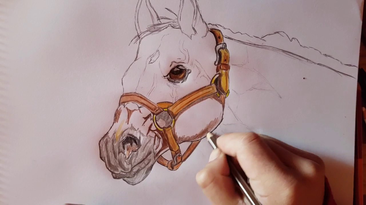 Como DIbujar Un Caballo Realista| How To Draw Realist Horse - YouTube