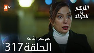 مسلسل الأزهار الحزينة | الحلقة 317 - الموسم الثالث