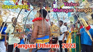 Panguni Uthiram Kavadi  in Singapore | Panguni Uthiram 2023  |  Yishun Murugan temple