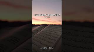 Everyone is blessed || Mufti menk Status #islamicvideo #status #muftimenk