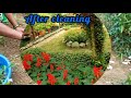 reuses of garden dry plants garden most important work update of garden cleaning in may