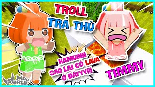 KAMUI TROLL TRẢ THÙ TIMMY VÌ GIẢ DANH NGỰA MẶT NGU VÀ CÁI KẾT | THỬ THÁCH TROLL HERO TEAM | Kamui TV