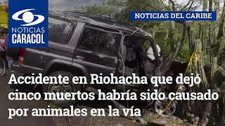 Accidente en Riohacha que dejó cinco muertos habría sido causado por animales en la vía