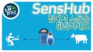 SenseHub로 집에서 소들을 관찰하세요