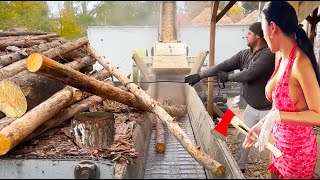 ♻️ Zero-Waste Woodworking in Action: Perfecting Wood Chip Production