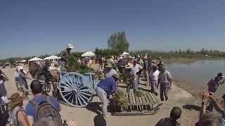 Fiesta de la recogida del arroz en Amposta (y nos cantan una jota)