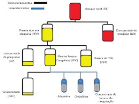 Transfusión, Hemocomponentes Y Hemoderivados - YouTube