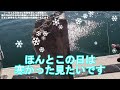 ガチカサゴ釣り　今が旬ですよ！ ホゴ釣り＃メバル釣り＃船釣り fishing fishingvideo