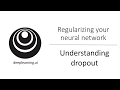 Understanding Dropout (C2W1L07)