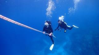 ロープなし浮上とロープあり浮上の違い（伊豆ダイビングスクール撮影）