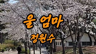 울 엄마.정원수. dstv