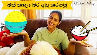 බත් කාලා බර අඩු කරගමු / Weight Loss Tips / Healthy / Weight Losing Secret / Sinhala/ Sahani's Diary