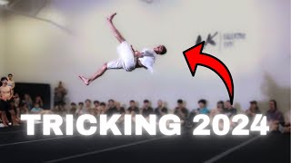 BEST OF TRICKING 2024