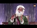 nagmani reality or myth shocking mystery of nagmani revealed by @sadhguru sadhguru on nagmani​