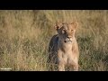 LIVE at the waterhole - 25 January 2026 - Part One