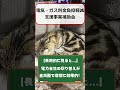 2025年の電気に関する国の補助金を解説！ 節約 電気代 新電力会社 勉強 節電アドバイザー 電気代高騰 電力会社 消費電力 猫 ねこ ねこのいる生活