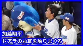 加藤翔平　ドアラのふわふわお耳を触りまくる　中日ドラゴンズVS広島東洋カープ　2023.4.11