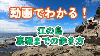 動画でわかる！裏磯（江ノ島）までの歩き方！【釣り場案内】