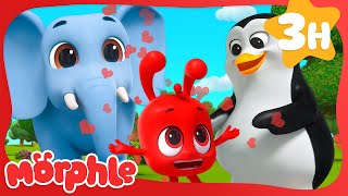 Morphle LOVES Going to the Zoo! 🦁🐧🐘| Morphle Kids Cartoons | Animated Stories for Kids