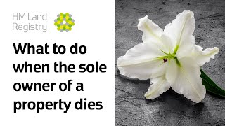 What to do when the sole owner of a property dies