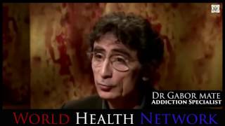 Dr Gabor Mate How Addiction Works
