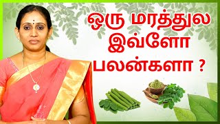 ஒரு மரத்துல இவ்ளோ பலன்களா ? | Murungai Keerai | Dr. Preethi Pushkarni | VV Yoga \u0026 Naturecure| Trichy