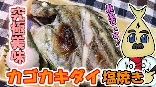 【めちゃうま】【珍魚】カゴカキダイの塩焼き ＃14