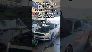 Whipple mustang on the dyno almost breaks 800whp #whipplesupercharger #mustang #dyno #800whp #700whp